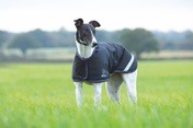 Digby & Fox Waterproof Greyhound Coat Black