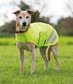 Shires EQUI-FLECTOR Dog Coat Yellow
