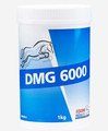 Equine Products DMG for Horses