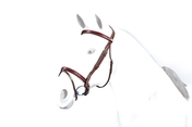 Equipe Brown Flash Patent Detail Bridle With Reins