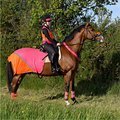 Equisafety Multi Coloured Horse Summer Sheet Pink & Orange