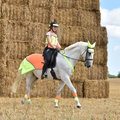 Equisafety Multi Coloured Horse Summer Sheet Yellow & Orange