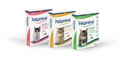 Felpreva spot-on solution for Cats