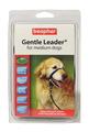 Beaphar Gentle Leader Dog Head Collar