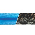 Hagen Marina Double Sided Aquarium Background - Sea Scape/Natural Mystic - 45.7 cm x 7.6 m (18" x 25 ft)