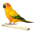 Happy Pet Wooden Bird Perch