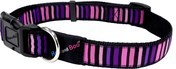 Hem & Boo Block Design Dog Collar Pink