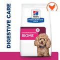 Hill’s Prescription Diet Gastrointestinal Biome Mini Dry Dog Food with Chicken
