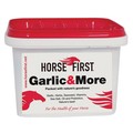 Horse First Garlic & More for Horses