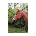 Hy Equestrian Merry Christmas Head Collar & Lead Rope for Horses Red