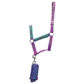 Hy Equestrian Thelwell Collection Pony Friends Head Collar & Lead Rope for Horses Imperial Purple/Pacific Blue