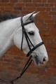 Hy Padded Cavesson Bridle With Rubber Grip Reins