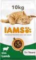 IAMS Adult Cat Food with Lamb