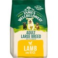James Wellbeloved Adult Large Breed Dog Dry Food Lamb & Rice