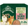James Wellbeloved Grain Free Adult with Salmon in Gravy Pouches