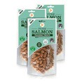 JR Pet Products Pure Salmon Training Treats for Dogs