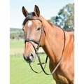 Kincade Classic Plain Raised Flash Bridle with Reins Brown for Horses
