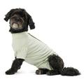 Kruuse Buster Body Suit for Dogs Dusty Green