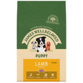 James Wellbeloved Lamb & Rice Puppy Food