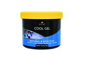 Lincoln Cool Gel for Horses