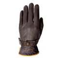 Mark Todd Winter Gloves with Thinsulate Brown