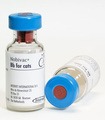 Nobivac Bb Vaccine for Cats
