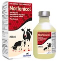 Norfenicol 300 mg/ml Solution for Injection for Cattle and Pigs