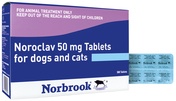 Noroclav Tablets