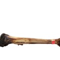 Paddock Farm Ostrich Smoked Cave Man Bone for Dogs