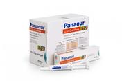 Panacur Paste for Dogs & Cats