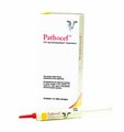 Pathocef 250 mg Intramammary Suspension