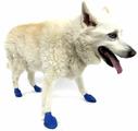 Pawz Natural Rubber Dog Boots