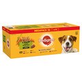 Pedigree Adult Dog Pouches Mixed Selection in Gravy Mega Pack