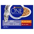 PURINA ONE Adult Chicken & Beef Mini Fillets in Gravy Cat Food