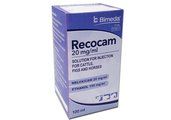 Recocam 20 mg/ml solution for injection for cattle, pigs and horses