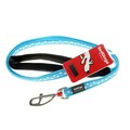 Red Dingo Turquoise with White Stars Dog Lead