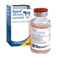 Rispoval IBR-Marker Inactivated