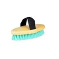 Roma Brights Body Brush Turquoise for Horses