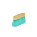 Roma Brights Dandy Brush Turquoise for Horses