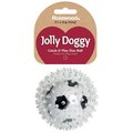 Rosewood Jolly Doggy Catch & Play Football