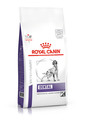 ROYAL CANIN® Dental Adult Dry Dog Food