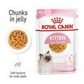ROYAL CANIN® Feline Health Nutrition Kitten Wet Cat Food in Jelly