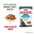 ROYAL CANIN® Urinary Care Thin Slices in Gravy Wet Cat Food