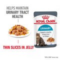 ROYAL CANIN® Feline Health Nutrition Urinary Care Wet Cat Food in Jelly