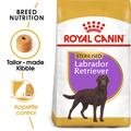 ROYAL CANIN® Labrador Retriever Sterilised Adult Dry Dog Food