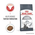 ROYAL CANIN® Dental Care Adult Cat Food