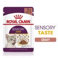 ROYAL CANIN® Sensory Taste in Gravy Adult Wet Cat Food