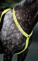 Shires EQUI-FLECTOR Breastplate Yellow