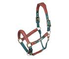 Shires Velociti Lusso Padded Leather Headcollar Green