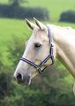 Shires Wessex Navy/Silver Headcollar